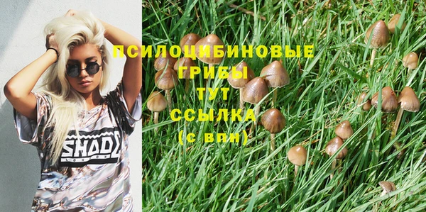 марки nbome Алексин
