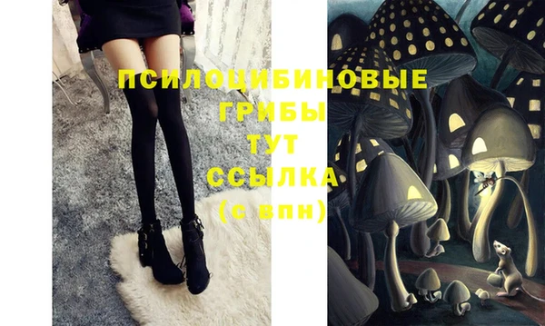 спиды Алексеевка