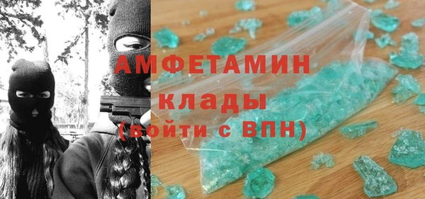прущие грибы Ачинск