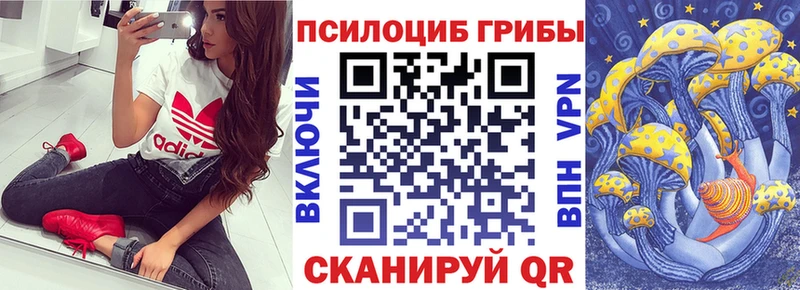 Галлюциногенные грибы Cubensis  где можно купить наркотик  Киров 