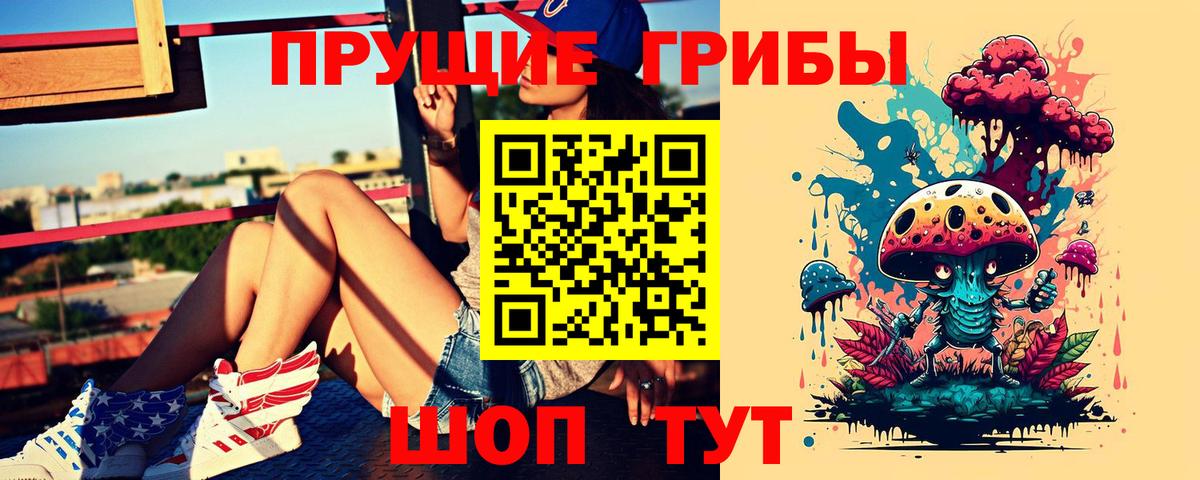 Псилоцибиновые грибы Magic Shrooms  Вход с VPN  Киров  Псилоцибиновые грибы GOLDEN TEACHER 