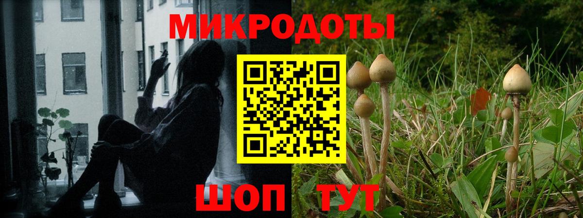 Псилоцибиновые грибы GOLDEN TEACHER Киров